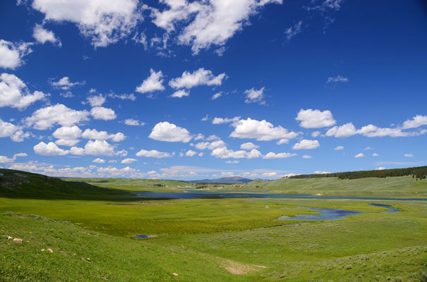 campo visivo normale