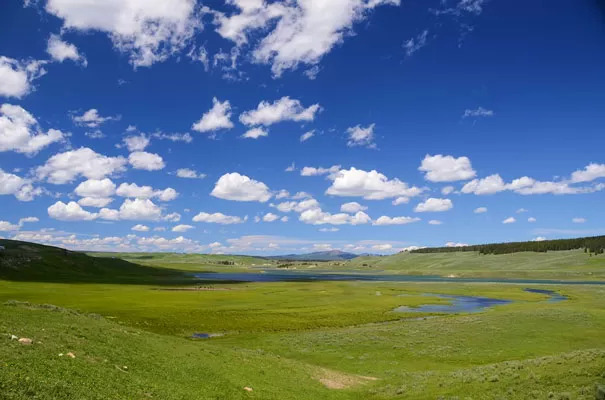 Campo visivo normale